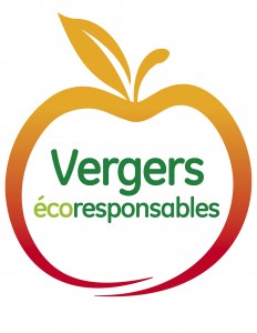 Logo-ecoresponsable